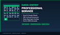 do fast and accurate data entry in excel or google sheets