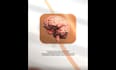 create scroll stopping video ads that boost sales