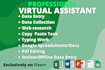 do professional data entry and virtual assist