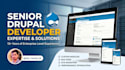 be your senior drupal developer for custom modules and bug fixes