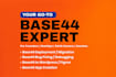 base44 expert migrate base44 to wordpress fix base44 web app base44 bug fixing