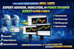 code expert advisor, indicator for mt4 mt5, mql4 mql5 forex eas, trading robot