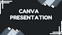 create a professional canva presentation design