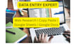 do data entry and copy paste tasks