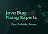 help fix and explain java bugs