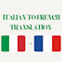 provide professional human translation with perfect grammar