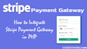 do stripe integration, api integration, payment gateway, paypal, webhook setup