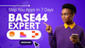 base44 expert fix base44 base44 deployment base44 integration base44 bug fix