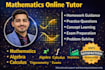 provide math help with algebra, calculus, statistics