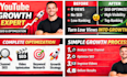 do full youtube channel SEO optimization