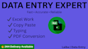 do fast data entry, copy paste, excel work and typing jobs