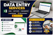 do data entry, excel work