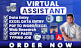 do data entry, pdf conversion, copy paste, web research