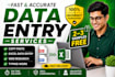 do accurate data entry, excel work and copy paste fast