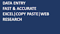 do accurate data entry, copy paste, and excel tasks