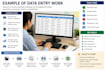 do data entry, copy paste, typing work