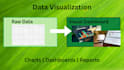 do professional data visualizations, charts, and dashboards