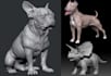 do 3d animal model dog figurine model dinosaur creature dragon model 3d printing