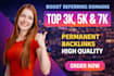 build high quality 10k referring domain backlinks