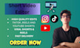 do professional video editing of youtubeshorts instagram reels and tiktok videos