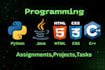 do coding tasks,assignments and projects in java,c,HTML and python