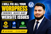fix all your wordpress errors, bugs and website issues