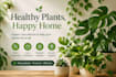 diagnose and fix your plant problems step by step
