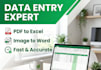 do fast and error free data entry from pdf or any files