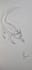teach you how to draw