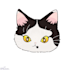 create a custom pet illustration for you