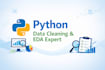 do data cleaning, eda and visualization in python