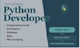 be your python programmer for scripts, bots, and automation