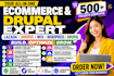 develop lazada shopee stores and design or fix drupal website or wordpress