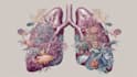 do medical and scientific illustrations