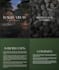 create a clean professional canva presentation