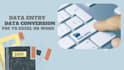 do data entry with strong attention to detail