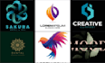 be your expert graphic designer