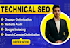 fix wordpress technical SEO issues and google search console problems