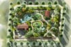 make property and plat map, site plan, landscape design, and rendering