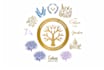 design professional bar and bat mitzvah logo