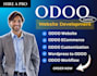 develop odoo erp modules customs app integration and system customization