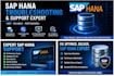 provide expert sap hana database consulting and support