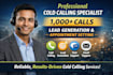 do b2b, b2c cold calling, telemarketing and set appointments