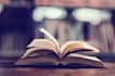 betaread your book and provide feedback