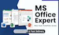 create professional ms office documents spreadsheets and presentations