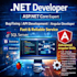 build asp net and angular web application