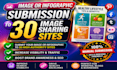 do 30 high da image or infographic submission backlinks for SEO ranking boost
