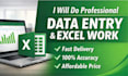 do excel data entry and data cleaning professionally