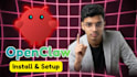 installed and setup openclaw professionally