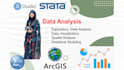 do data analysis using r, spss, stata, arcgis